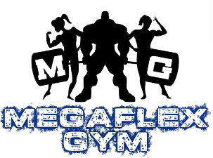 Megaflex Gym